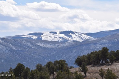 STUNNING LUXURY RETREAT! This captivating legacy ranch is just - photo 33
