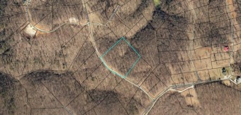 Two nice wooded building lots! - Lake Acreage For Sale in Monticello, Kentucky
