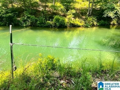 From the road look left towards the water Take a gentle sloping - Lake Lot For Sale in Double Springs, Alabama