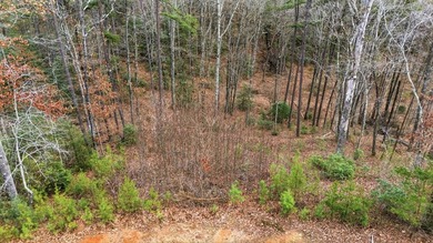 Embrace the mountain river lifestyle in the sought-after - photo 19