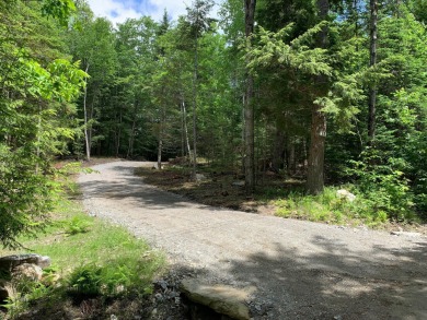 Damariscotta Lake Acreage For Sale in Nobleboro Maine