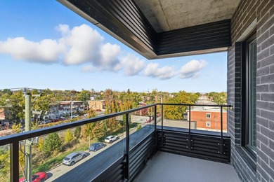 Rare corner unit 1 bedroom luxury condo located in the most - photo 6