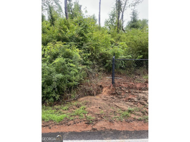 Lake Lot For Sale in Jackson, Georgia