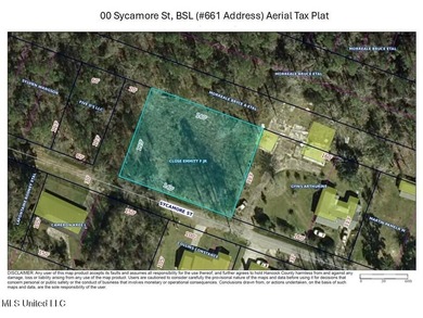 High elevation lot on a dead end street in the heart of Bay St - photo 1