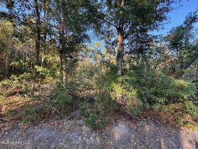 High elevation lot on a dead end street in the heart of Bay St - photo 3