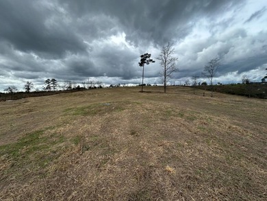Discover the perfect blend of country living and functionality - photo 3