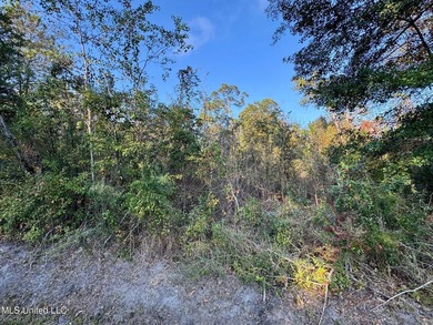 High elevation lot on a dead end street in the heart of Bay St - photo 4