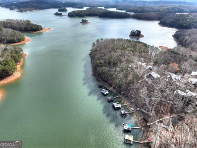 WHIMSICAL BLUE RIDGE LAKEFRONT COTTAGE! Nestled in the heart of - photo 5