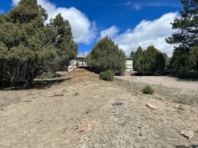 Lake Home Off Market in Los Ojos, New Mexico