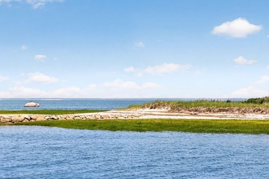 ONE OF ORLEANS MOST SPECTACULAR MARSH SETTINGS. Set above the - photo 50