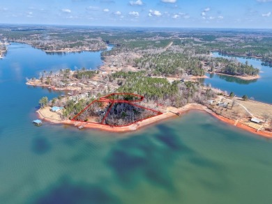 Lake Lot For Sale in Chappells, South Carolina