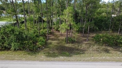 Lehigh Acres Area Lot For Sale in Lehigh Acres Florida