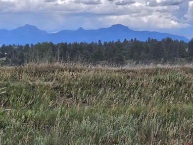 Lake Forest Lot For Sale in Pagosa Springs Colorado