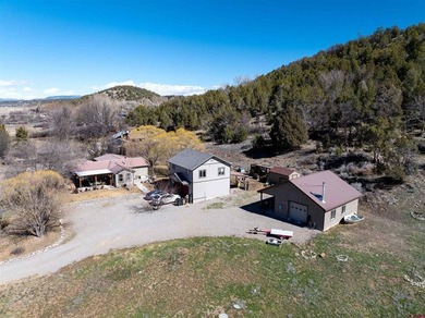 Animas River Home For Sale in Durango Colorado