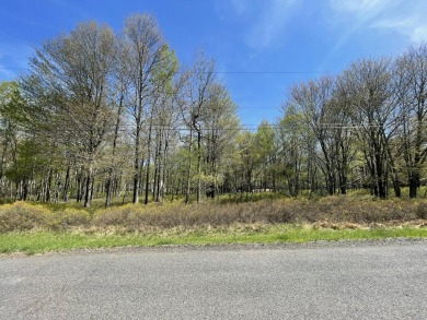 Lake Lot For Sale in Blakeslee, Pennsylvania