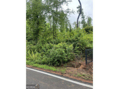 Lake Lot For Sale in Jackson, Georgia