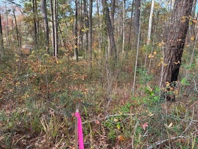 Toledo Bend Reservoir Lot For Sale in Many Louisiana