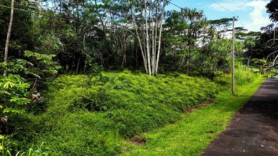 Discover the ideal setting for your tropical dream home or - photo 1