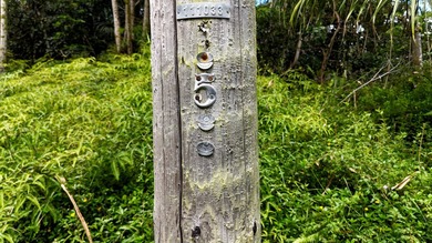 Discover the ideal setting for your tropical dream home or - photo 2