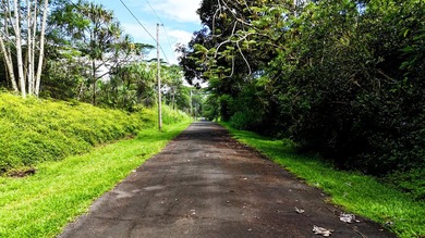 Discover the ideal setting for your tropical dream home or - photo 3
