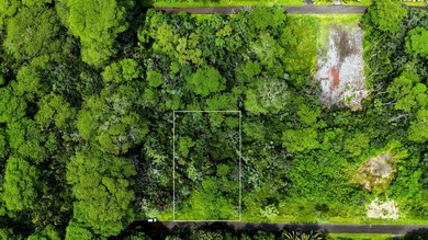 Discover the ideal setting for your tropical dream home or - photo 4