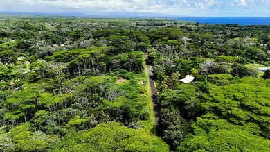 Discover the ideal setting for your tropical dream home or - photo 7