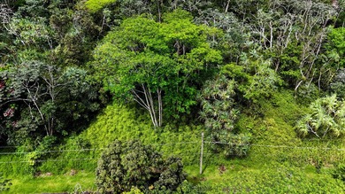Discover the ideal setting for your tropical dream home or - photo 8
