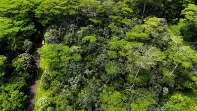 Discover the ideal setting for your tropical dream home or - photo 9