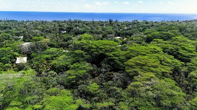 Discover the ideal setting for your tropical dream home or - photo 10