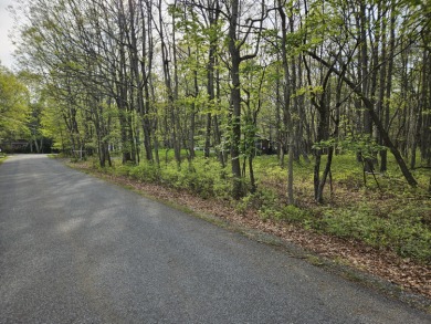 Bear Creek Lake Lot Sale Pending in Jim Thorpe Pennsylvania