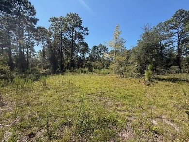 Bonable Lake Lot For Sale in Dunnellon Florida