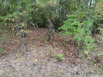 Lake Granada Lot For Sale in Hot Springs Village Arkansas