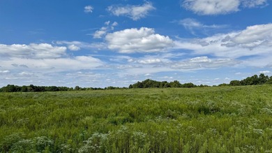 Discover this expansive ridge-top tillable farm, perfectly - photo 10