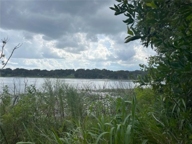 Lake Nettie Lot For Sale in Eustis Florida