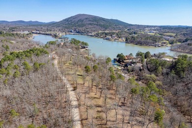 10 acres with excellent development potential. Portions of the - photo 12
