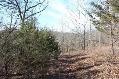 Discover the perfect blend of privacy, convenience, and natural - photo 13