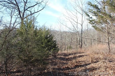 Discover the perfect blend of privacy, convenience, and natural - photo 13