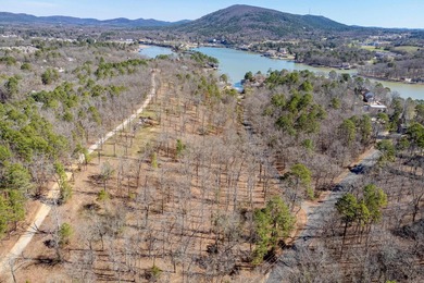 10 acres with excellent development potential. Portions of the - photo 17