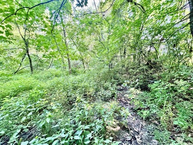 Listed for sale is a blend of recreation, wildlife, and - photo 21