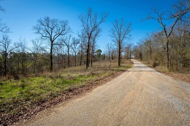 10 acres with excellent development potential. Portions of the - photo 21