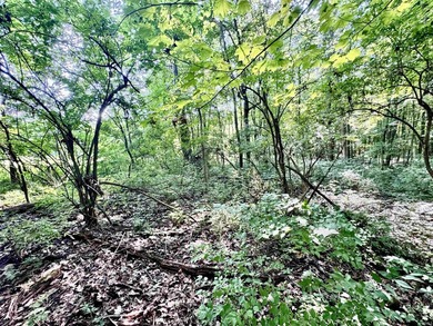 Listed for sale is a blend of recreation, wildlife, and - photo 22