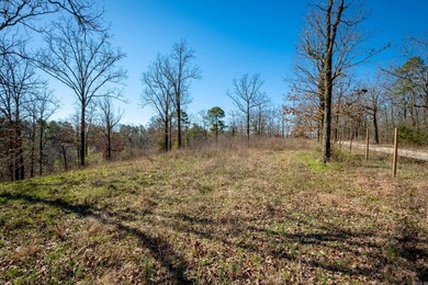 10 acres with excellent development potential. Portions of the - photo 22