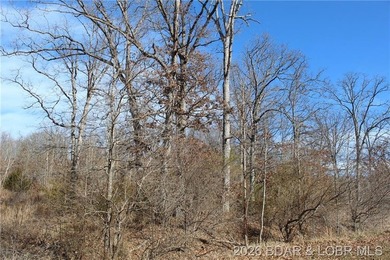 Discover the perfect blend of privacy, convenience, and natural - photo 22