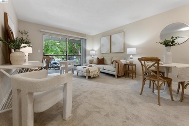 Welcome to 4081 Clayton Road, Unit 221-an inviting second-floor - photo 3