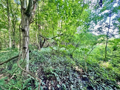Listed for sale is a blend of recreation, wildlife, and - photo 23