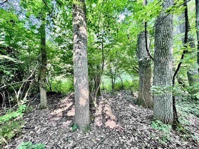 Listed for sale is a blend of recreation, wildlife, and - photo 24