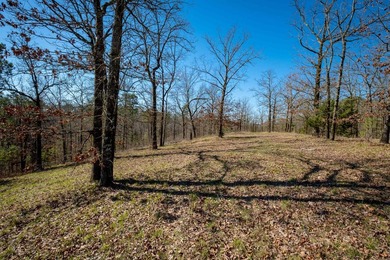 10 acres with excellent development potential. Portions of the - photo 24