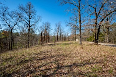 10 acres with excellent development potential. Portions of the - photo 25