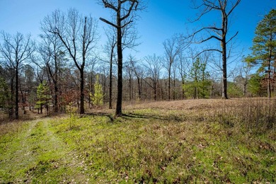 10 acres with excellent development potential. Portions of the - photo 26
