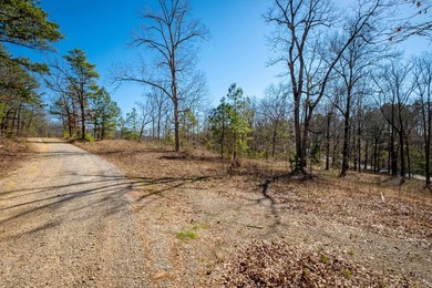10 acres with excellent development potential. Portions of the - photo 27